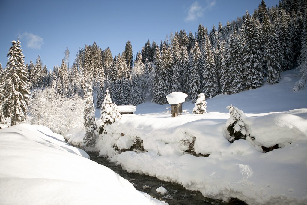 Kitzbüheler Alpen