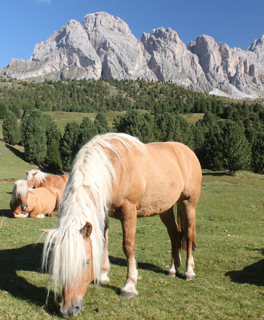 Val Gardena