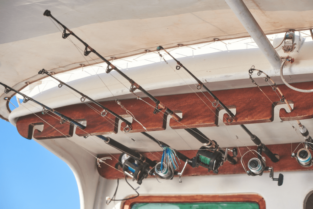 Fishing on Chill Out Cruises