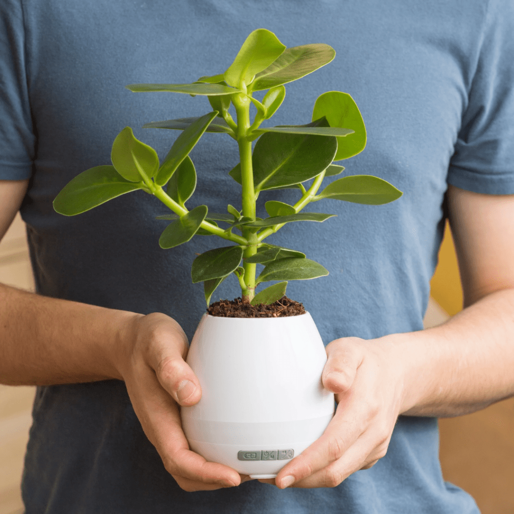 Bluetooth Speaker Planter