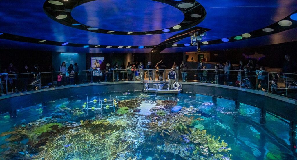 The New England Aquarium