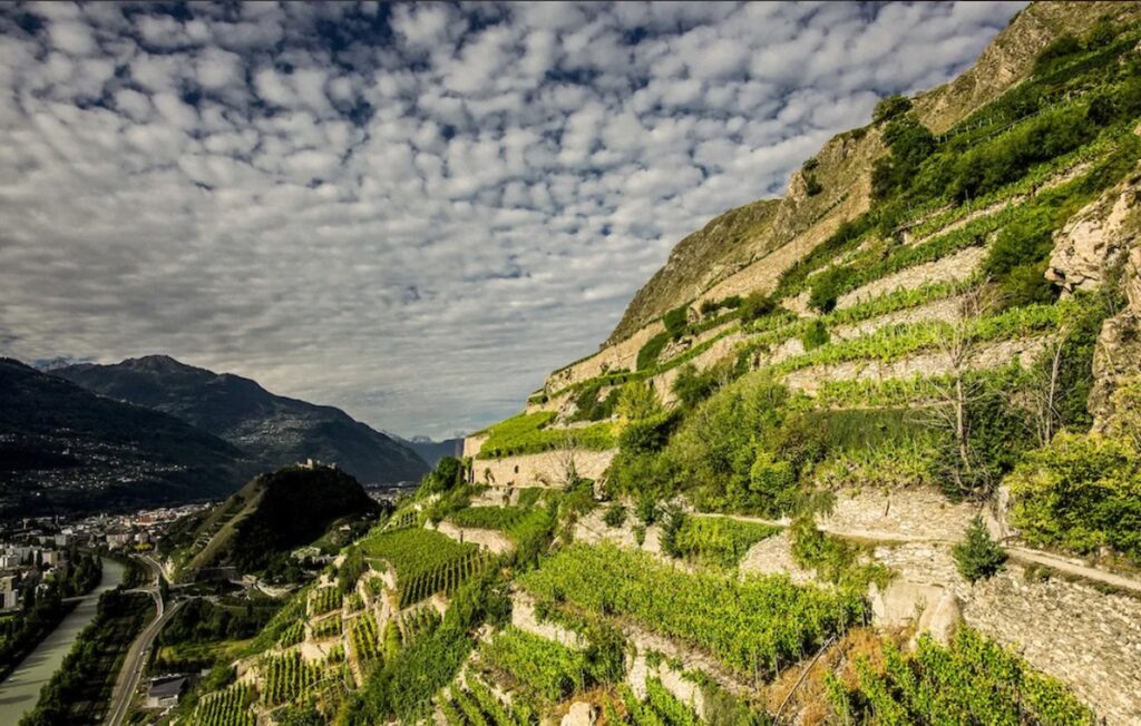 PIC 16 Valais vineyards Sion