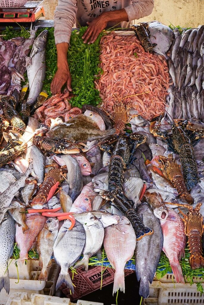 FISH FOR SALE AT ESSAOUIRA HARBOUR