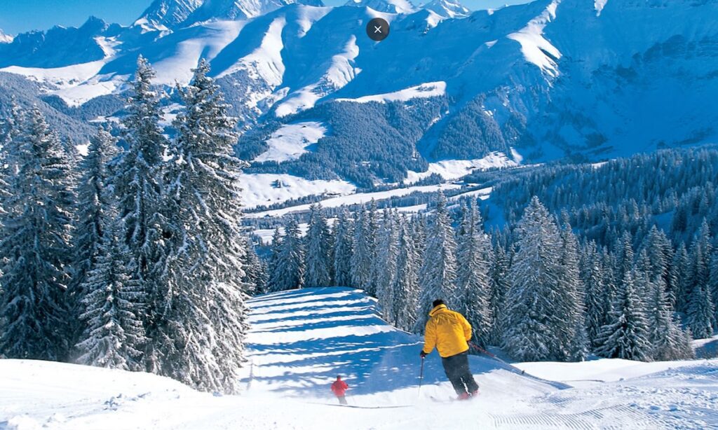 Tree lines piste St Gervais 1