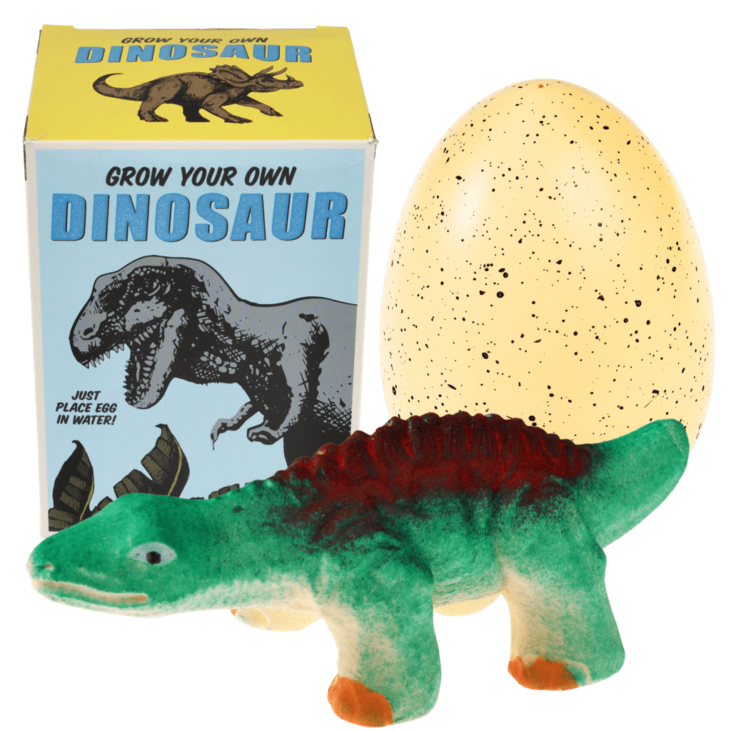 Grow Your Own Dinosaur box contents 2
